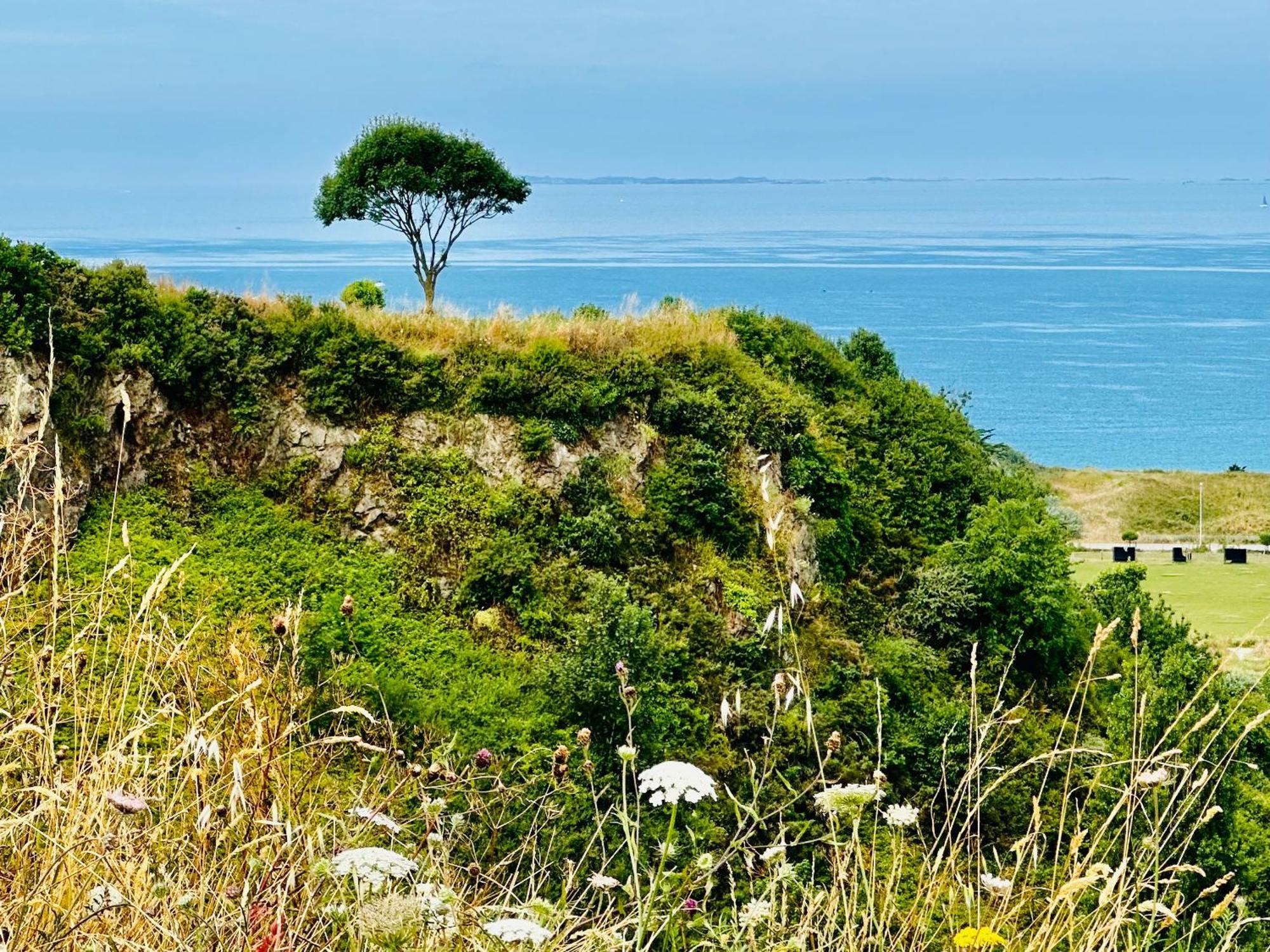 Le Refuge De Lalbatros Vert Donville-les-Bains Extérieur photo